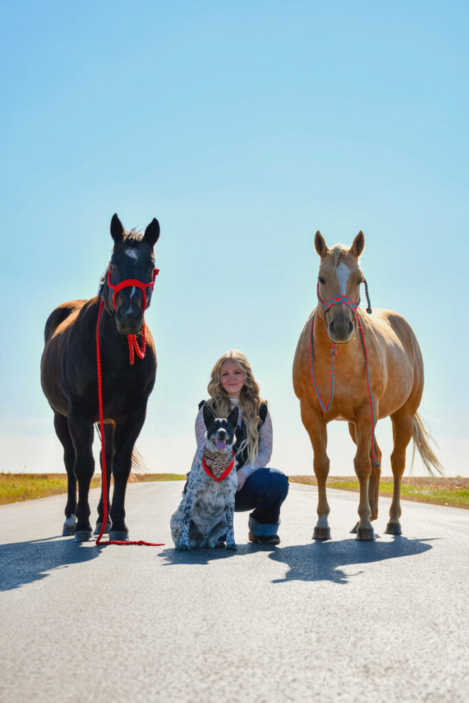 Two horses, the owner and a dog standing together in a sunny outdoor setting