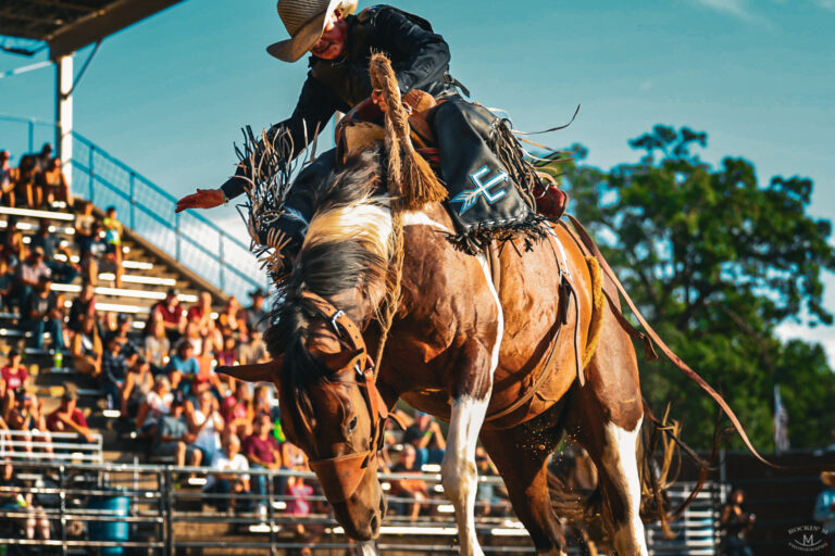 Close-up of a rodeo rider gripping a saddle on a bucking horse