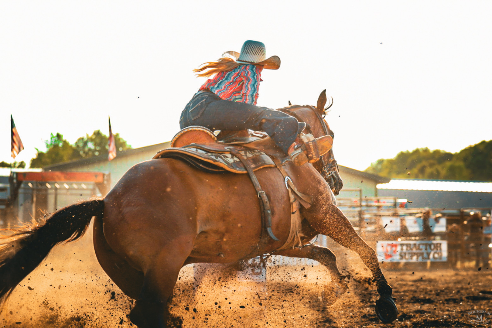 Rider leaning forward on a bucking horse in a sunlit arena